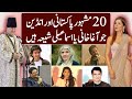 20 famous people who are agha khani or ismaili shia  ismaili people in pakistan  infoio