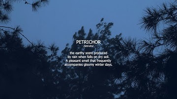 Petrichor (Official Visualiser)