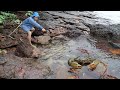 Giant king crab catch and cook at the beach  giant sea crab cooking with big wave  wilderness food