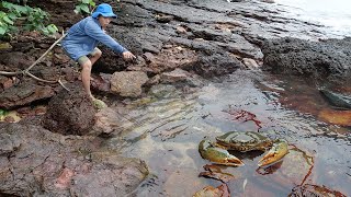 Giant King Crab Catch and Cook At the Beach - Giant Sea Crab Cooking with Big Wave | Wilderness Food