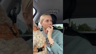 Who’s gonna tell her?😂 #cavapoo #dog