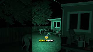 Hyena vs Lion? The Scariest Predator in the Jungle! 😨🔥