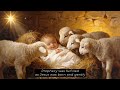 🎄 The Story of Christmas ✨Join us on a heart-warming journey through the timeless story of Christmas
