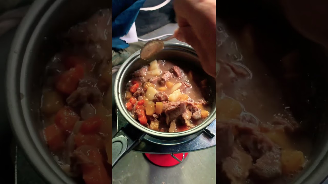 A Moose Meat Stew In My Van / Home  