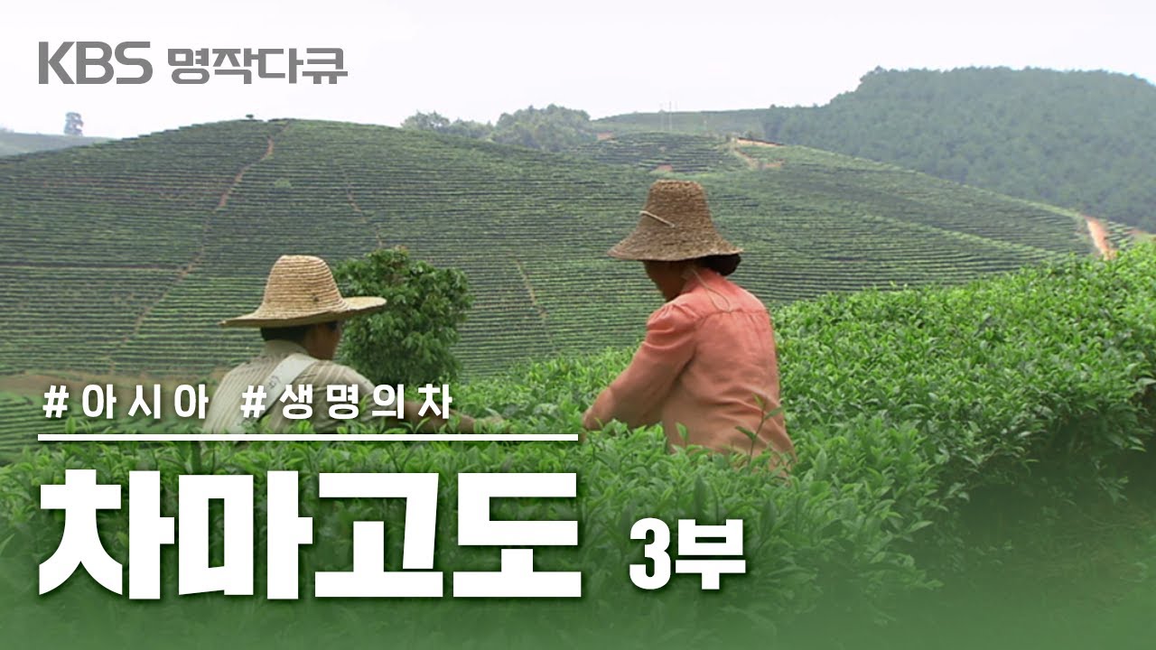 [명작다큐🎖️] 차마고도 茶馬古道 6부작 | 3부 생명의 차 (KBS 2007.10.20 방송)