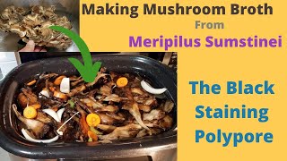 Black Staining Polypore Mushroom Stock Recipe