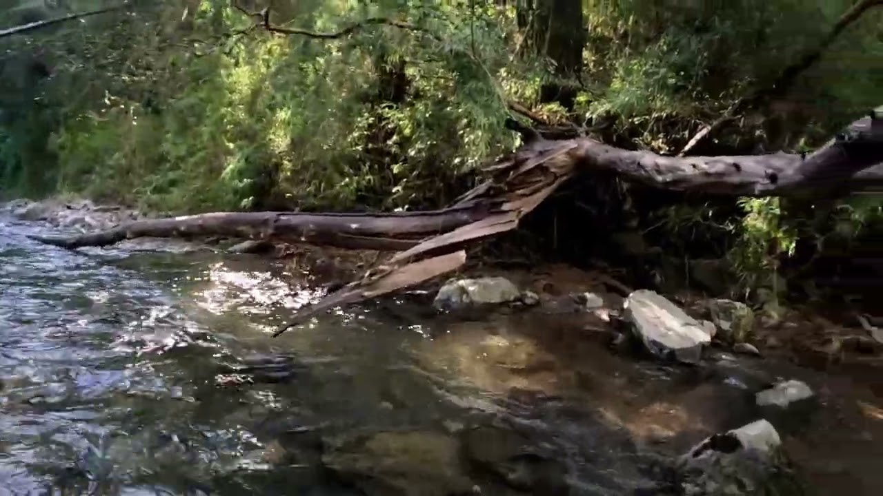 Explorando Rio y Playa de Chivilingo Region del Bio-Bio.