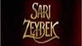 Video thumbnail of "sari zeybek"