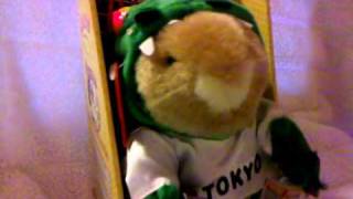 Hamzilla Video.3Gp