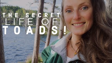 Wart Diaries: The Secret Life of Toads! With Lucy Lapwing