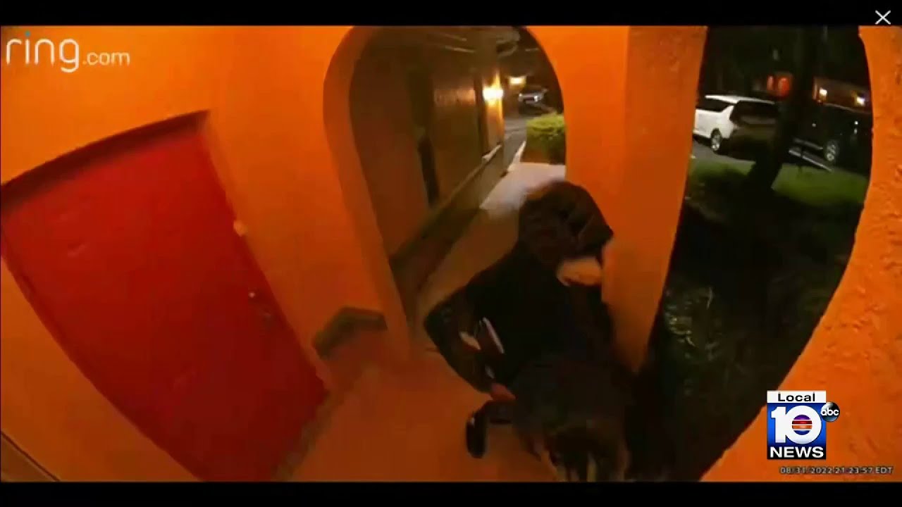 Police searching for shooter in Miramar - YouTube