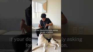 How To Stop Begging For Attention