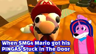 Princess Sword Heart Reacts to SMG4: Mario Gets His PINGAS Stuck In The Door