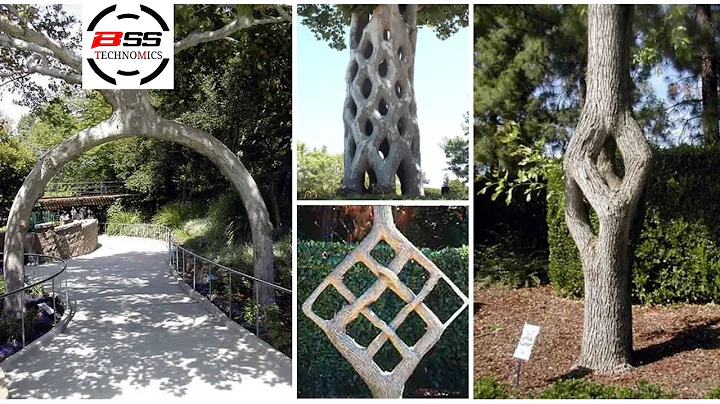 Axel Erlandson circus trees at gilroy gardens