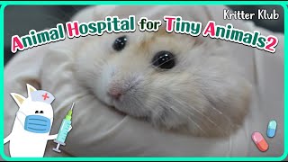 Today's Patient: Hamster l Animal Hospital For Tiny Animals 2
