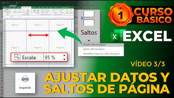 CÓMO AJUSTAR LOS DATOS EN LAS PÁGINAS PARA IMPRIMIR Y QUE SON LOS SALTOS DE PAGINA | VÍDEO 3 DE 3
