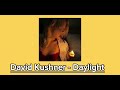 David kushner  daylight
