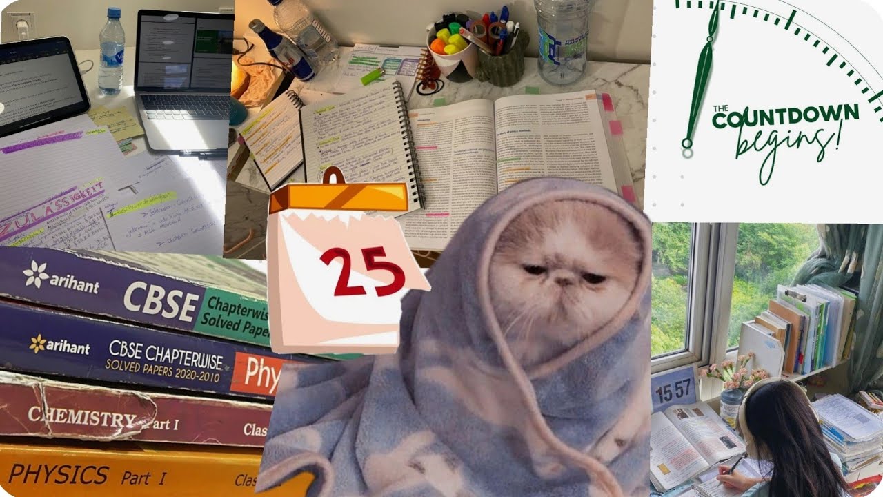 25 days are left for boards 🥲😭