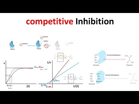 Video: Kai nekonkurencinga inhibitoriaus molekulė prisijungia prie a?