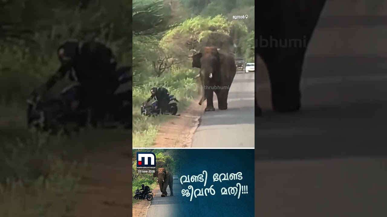 ബൈക്ക് താഴെയിട്ട് ഒരൊറ്റ ഓട്ടം!! മൂന്നാറിൽ ബൈക്ക് യാത്രക്കാർക്ക് നേരെ പാഞ്ഞടുത്ത് കാട്ടാന | Munnar