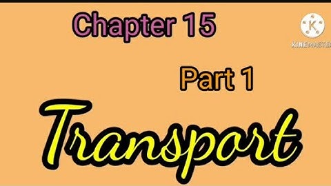 E.V.S || Chapter 15 || Transport || Part 1