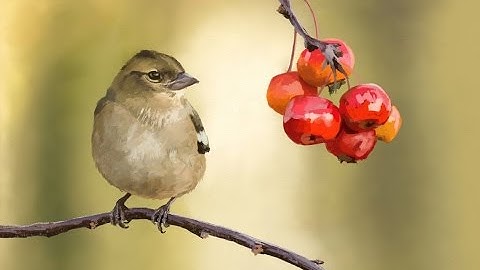 Bird and Berries digital painting (time-lapse video) - Artrage 5