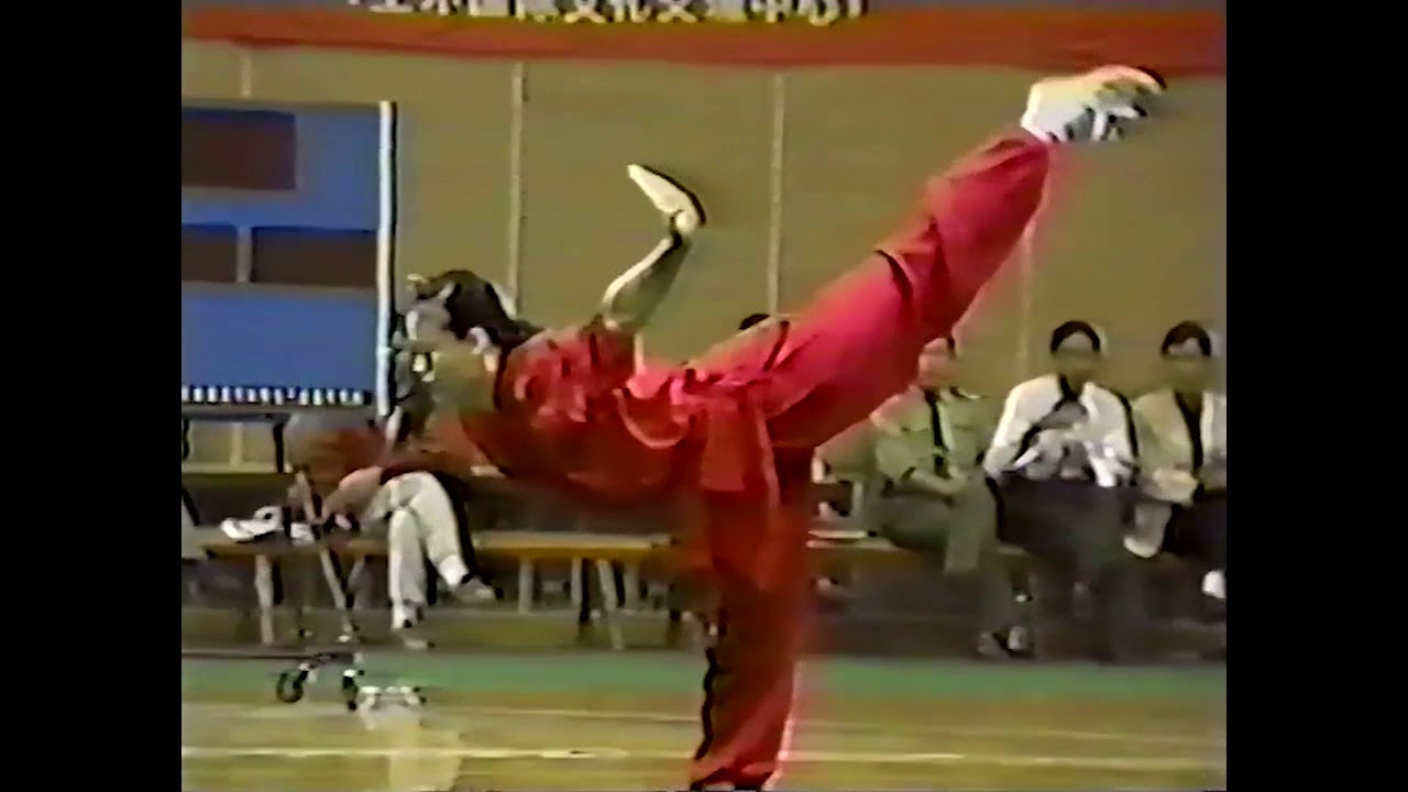 Liu Qing Hua - Changquan -  - 8th All China Games - Wushu - HD