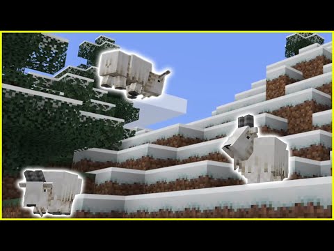 Wideo: Czy do Minecrafta dodano kozy?