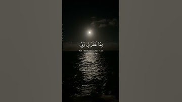 أجمل تلاوات القارئ هيثم الدخين