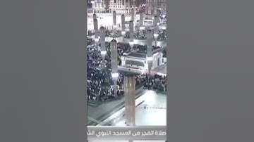 تلاوة عذبة من سورة الأنعام، من فجر اليوم الخميس. فضيلة الشيخ ⁧ #عبدالله_القرافي ⁩.#تلاوت_قرآن_ #1k