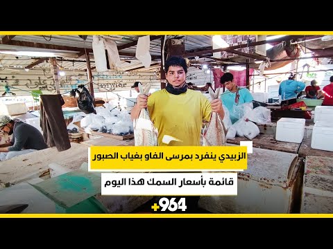 الزبيدي ينفرد بمرسى الفاو بغياب الصبور قائمة بأسعار السمك هذا اليوم 