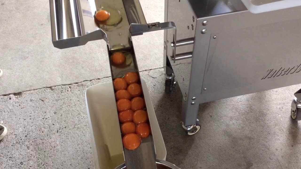 三共技研 ミニ割卵機ワルサー3,000 テスト