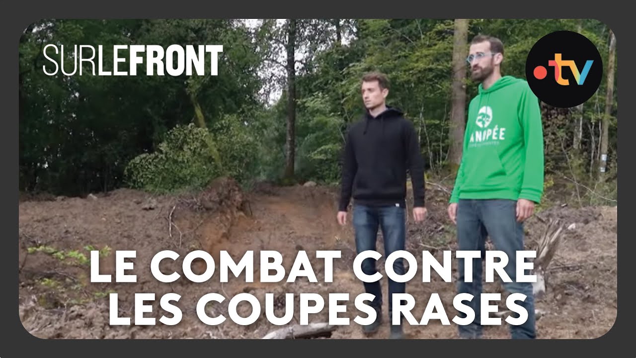 Forêts françaises : Le combat contre les coupes rases - Sur le front avec Hugo Clément