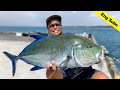漁港の巨大カスミアジを釣るまでの一部始終【与論島】How to Catch Giant Bluefin Jack in Harbor