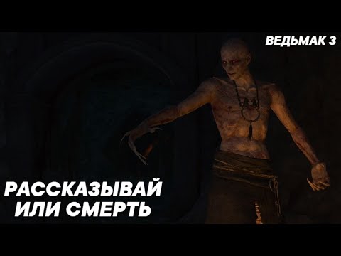 Ведьмак 3 - Скрытый (Все Варианты Диалога)