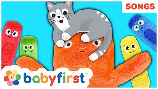 The Cute Cat Song | Kitten for Kids | Animals Songs | Nursery Rhymes for Babies | Baby First TV