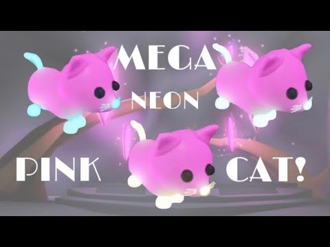 Mega Neon Pink Cat Youtube - making a neon pink cat in adopt me kxwxii bxrry roblox youtube