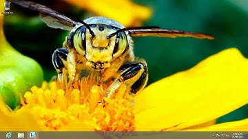 Intro to Windows 8 - The Microsoft Account