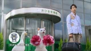 アフラック まねきねこダックＸ「おめでとう」 櫻井翔