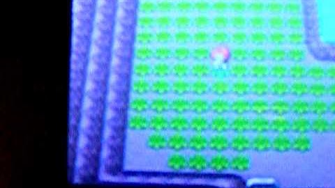 Shiny Machop, Full Capture, Route 207