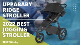 Uppababy Ridge Stroller: Reggie Slate Blue