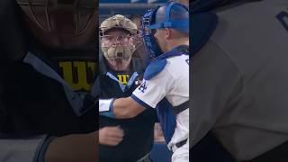 Umpire takes a blow to the face