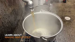 NH Maple Weekend 2024 - Sugar house tours - Maple Syrup