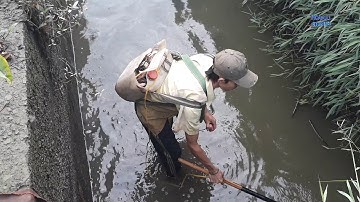 Vợt kích cá kiểu mới // Bắt Cá LÓC, CÁ TRÊ, LƯƠN trên sông sài gòn