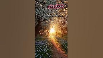 تلاوة خاشعة بصوت جميل #hearttouchingtilawat #المصحف #اكسبلور #تيك_توك #القرآن_الكريم