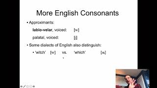 Linguistics 341 - Intro Phonetics - The Dimensions of Articulation, part 2