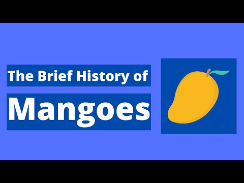 Video: Mango: Its Properties, Origin And Application