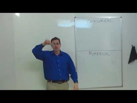 Categorical vs Numerical