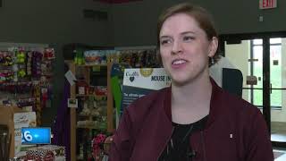 Firework safety for pets