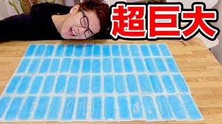 【実験】巨大熱さまシートで巨大スクイーズ作ろうとしたら大変なことに…！